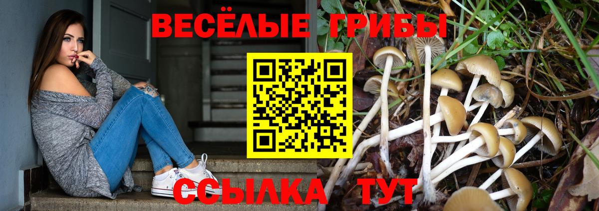 Галлюциногенные грибы мухоморы  Псилоцибиновые грибы ЛСД  Вход с VPN  даркнет сайт  Михайловка 