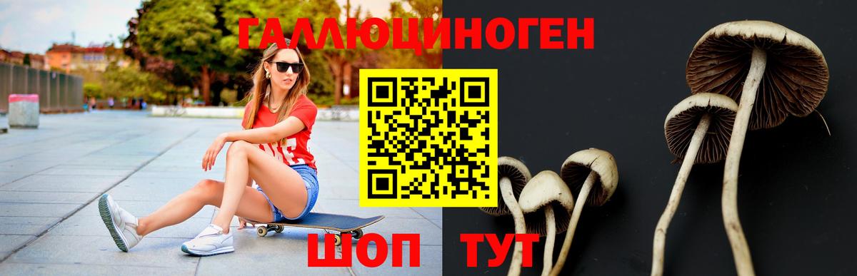 Псилоцибиновые грибы GOLDEN TEACHER Михайловка