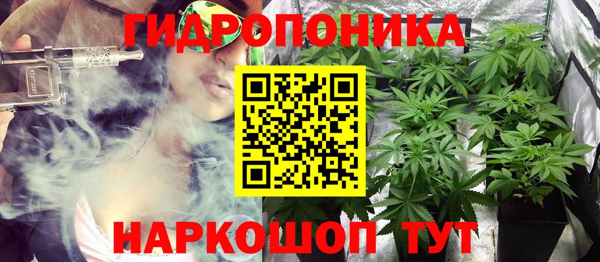 Михайловка  Шишки марихуана сатива  Вход с VPN  МАРИХУАНА сатива  Конопля LSD WEED 